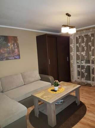 Апартаменты Apartament Olivier Поляница-Здруй Апартаменты с 1 спальней-13