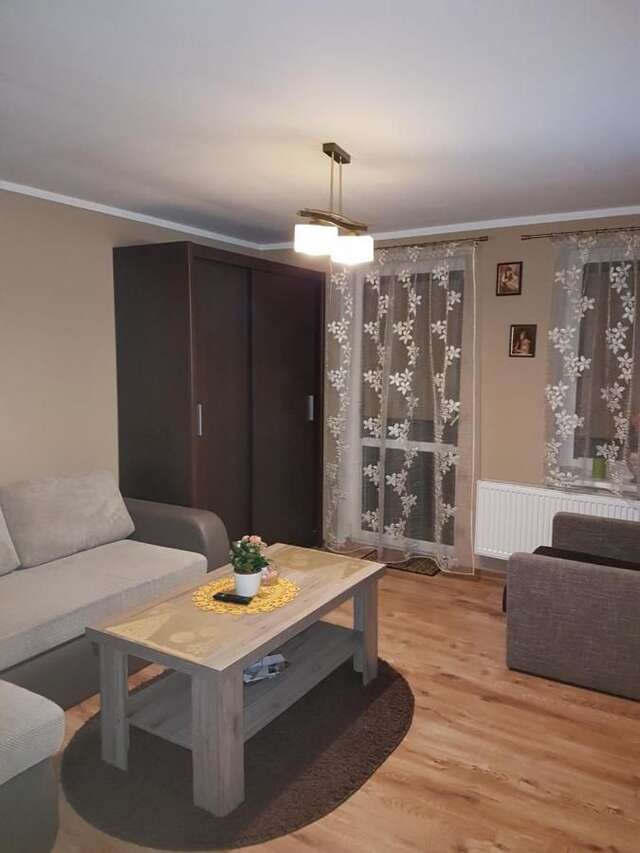 Апартаменты Apartament Olivier Поляница-Здруй-3