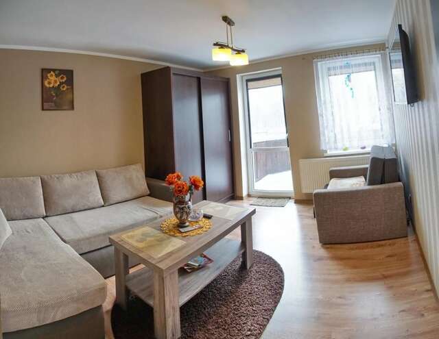 Апартаменты Apartament Olivier Поляница-Здруй-23