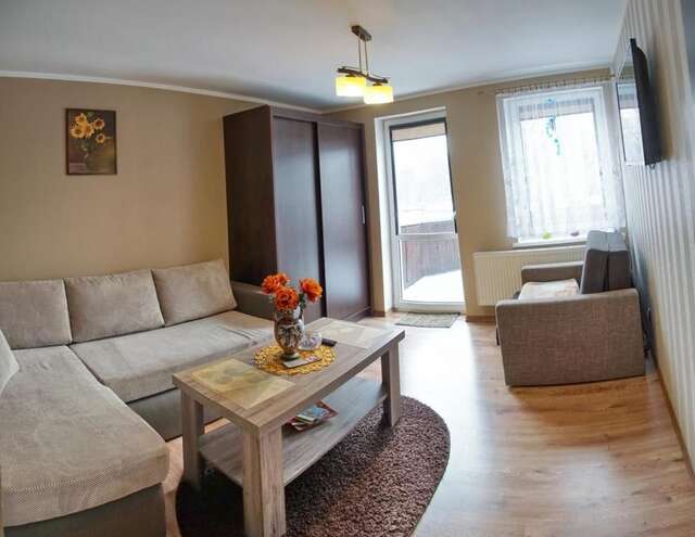 Апартаменты Apartament Olivier Поляница-Здруй-28